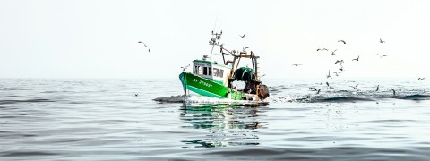 Photo Back from fishing par Philip Plisson