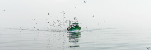 Photo Small fishery in Quiberon Bay par Philip Plisson