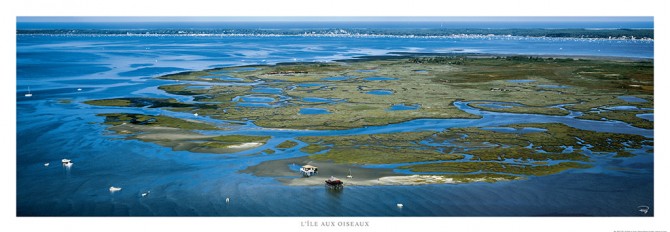 Photo L'île aux oiseaux, Bassin d'Arcachon par Philip Plisson