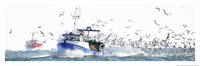 Photo Retour de pêche au Guilvinec, Finistère par Philip Plisson