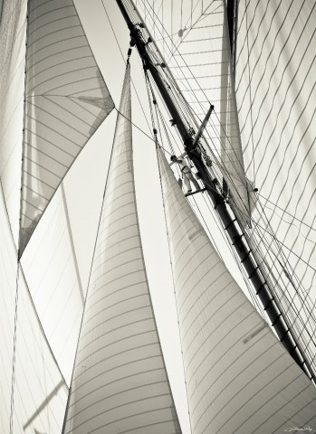 Photo All sails out, classic yacht par Guillaume Plisson