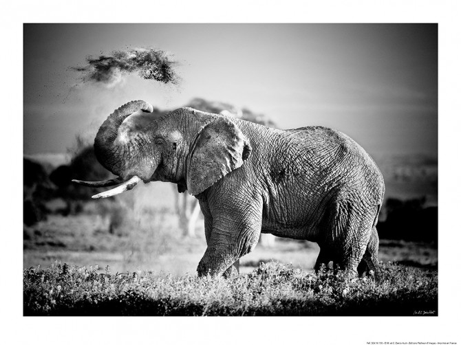 Photo Eléphant, Kenya, Afrique par Michel & Christine Denis-Huot