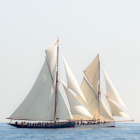 Photo Sailboats side by side, classic yachts par Philip Plisson