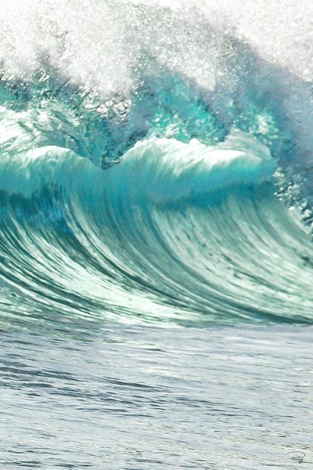 Photo Wave - Cape Verde par Philip Plisson