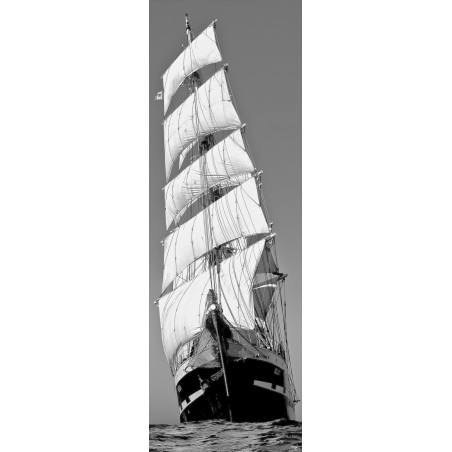 The three-masted Belem, all sails out