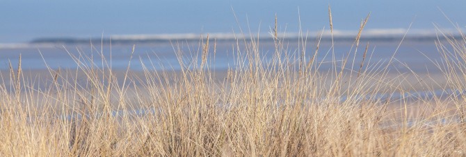 Photo Dune and beach grass, Brittany par Philip Plisson