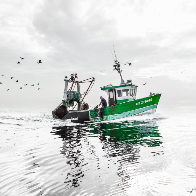 Photo Retour de pêche en baie de Quiberon, Bretagne par Philip Plisson