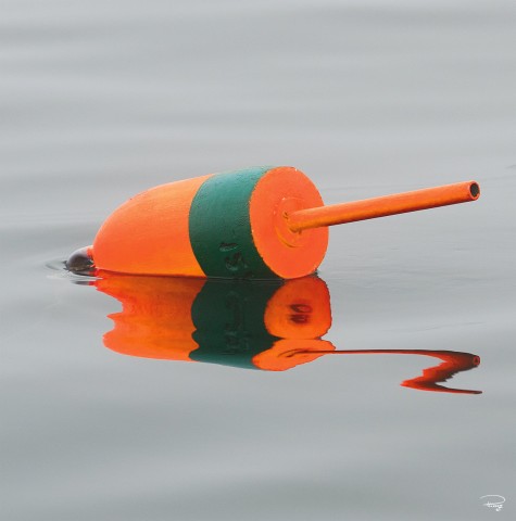 Photo Bouée de casier à homards orange et verte par Philip Plisson