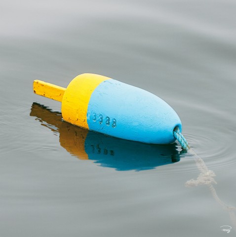 Photo Bouée de casier à homards bleue et jaune par Philip Plisson