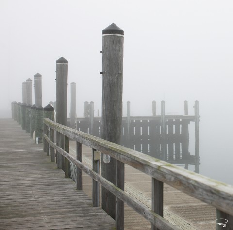 Photo Trio bridge in the fog, USA par Philip Plisson