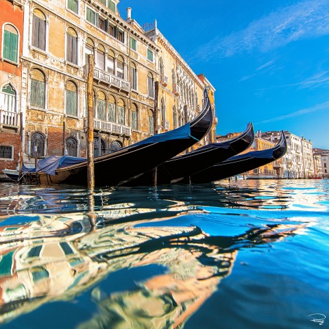Photo Gondoles sur le Grand Canal, Venise par Philip Plisson