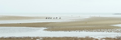 Photo Promenade à cheval, Morbihan par Philip Plisson