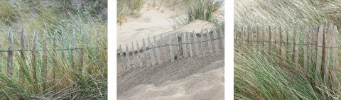 Photo Dune et ganivelles en Bretagne par Philip Plisson