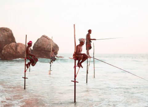 Photo Fishermen on stilts in Sri Lanka par Philip Plisson