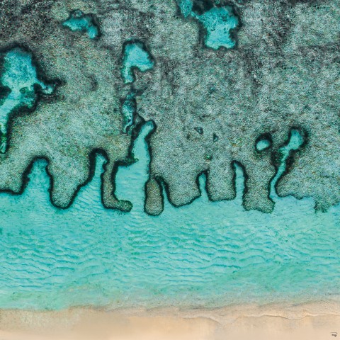 Photo Dessins de récifs aux Seychelles par Philip Plisson