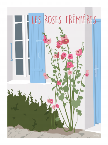 Photo Les roses trémières par Pauline Launay