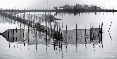 Photo Dans la Lagune de Venise par Philip Plisson