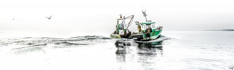 Photo Boat back from fishing par Philip Plisson