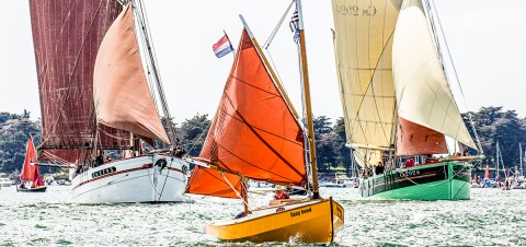Photo Ships sailing during the parade par Philip Plisson