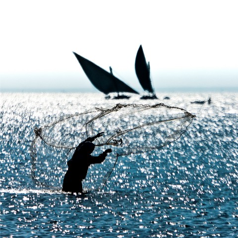 Photo Pêcheur sur le lac Burullus en Egypte par Philip Plisson