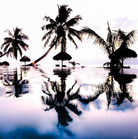 Photo Reflets de palmiers au bord de la piscine par Philip Plisson