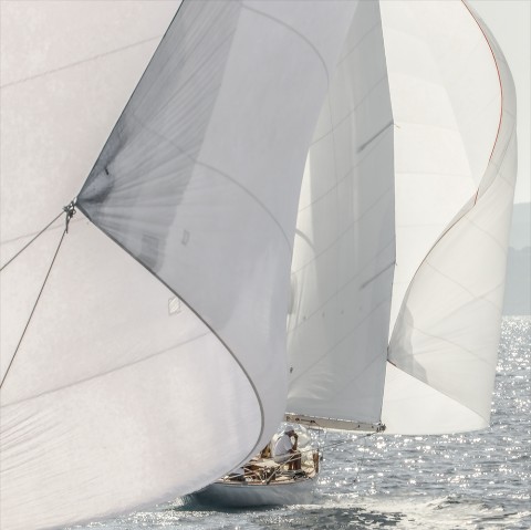 Photo All sails out par Philip Plisson