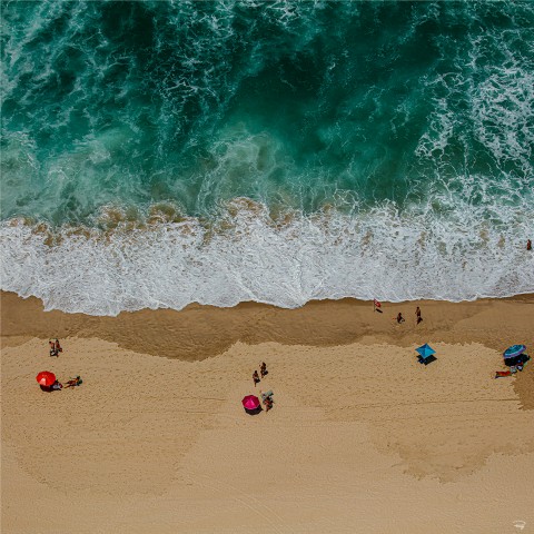 Photo Above the beach par Philip Plisson